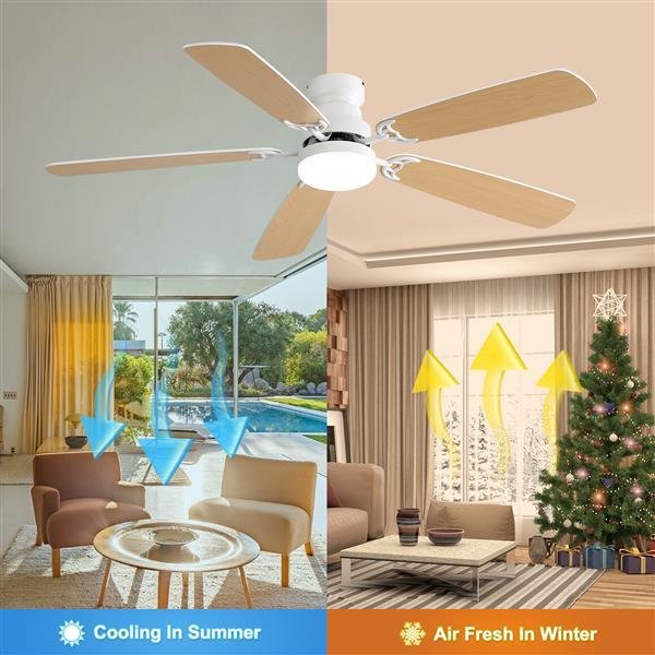 Indoor Modern 52 Inch Ceiling Fan